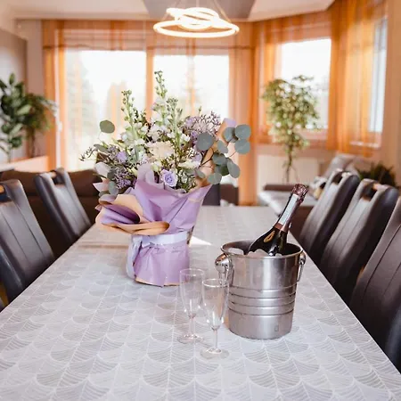 Vámosi Party Ház Villa